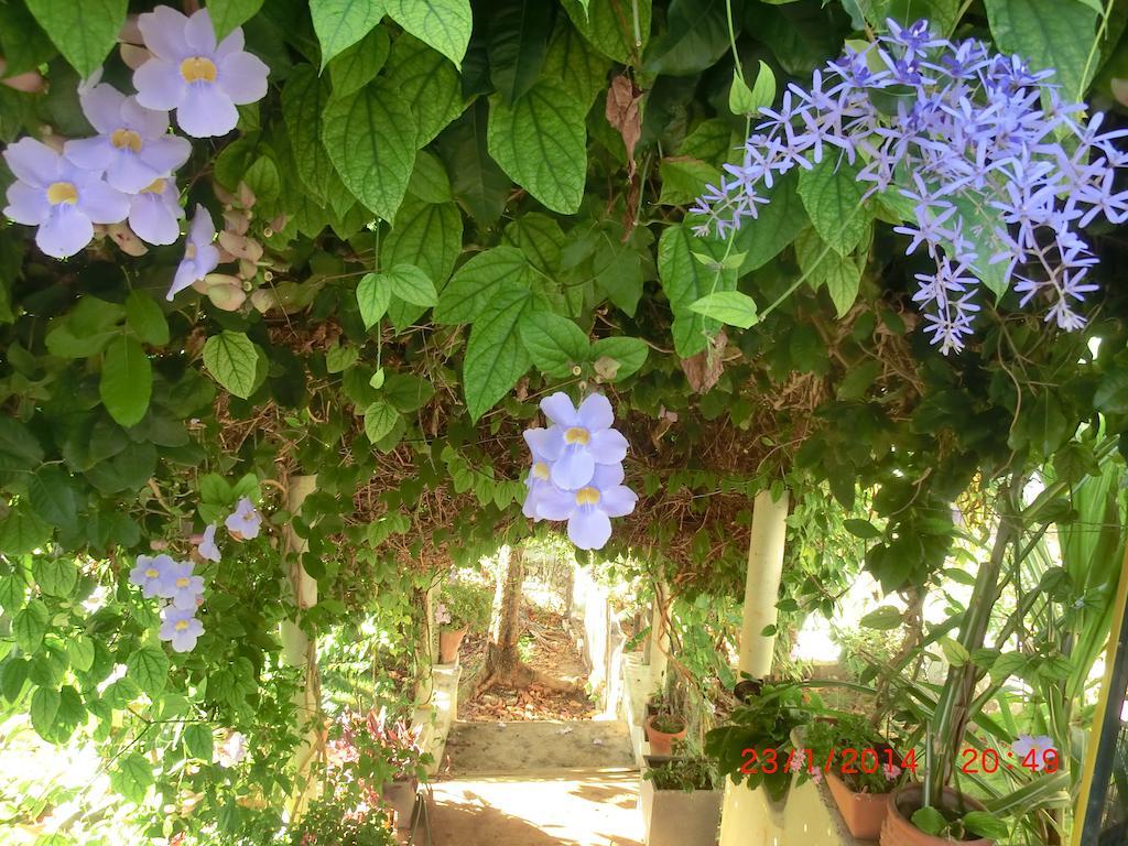 Chambres D'Hotes La Romana Exteriér fotografie